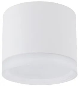 Σποτ Φωτιστικό Οροφής 1xGX53 Downlight Silba Nowodvorski-10476-Λευκό 10476