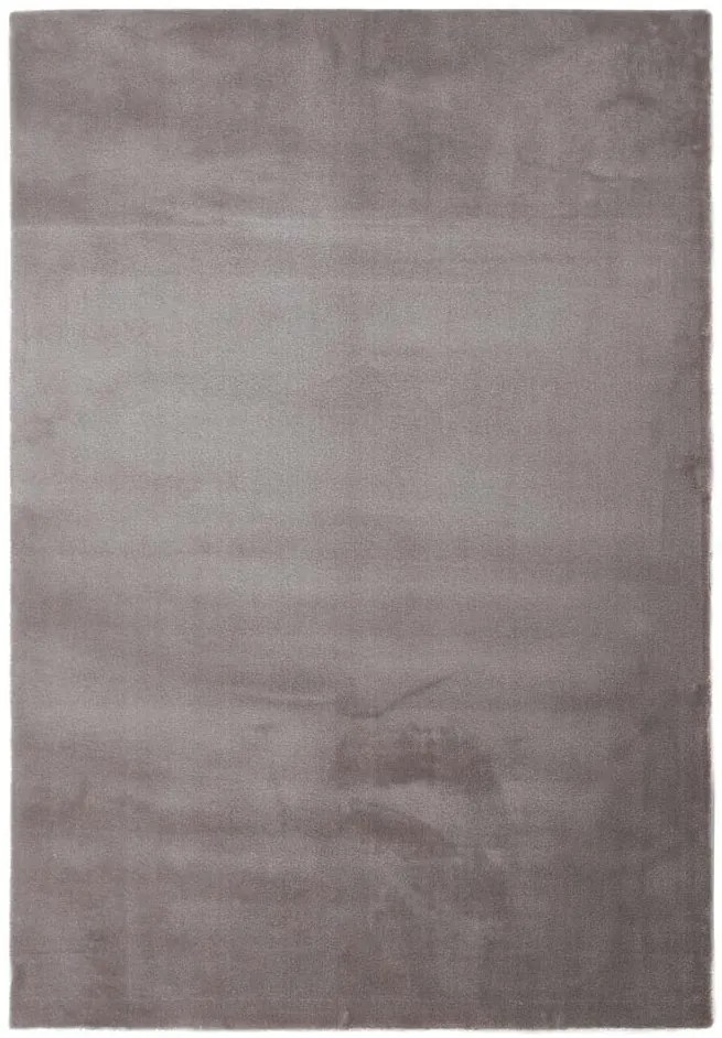 Χαλί Desire 71401 060 Royal Carpet - 200 x 290 cm