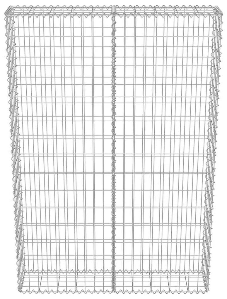 vidaXL Συρματοκιβώτιο Τοίχος 100x20x150 εκ. Γαλβαν.Χάλυβας + Καλύμματα