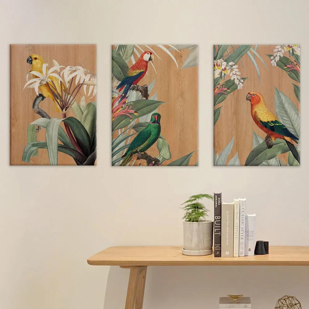 Yellow Parrots πίνακας διακόσμησης ξύλου 42 x 30 x 0,60 εκ (21457) - MDF - 21457