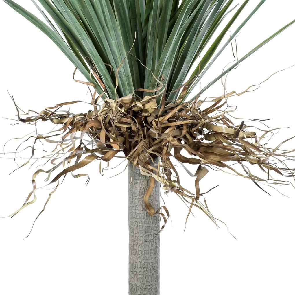 GloboStar® Artificial Garden BEAUCARNEA PALM TREE 20047 Τεχνητό Διακοσμητικό Φυτό Κυρτόφυλλος Μπουκαρνέα Υ200cm