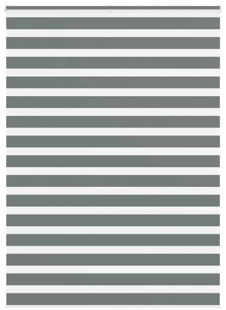 vidaXL Ζέβρα τυφλή Σκούρο Γκρι Πλάτος υφάσματος 160,9 εκ. Πολυεστέρας