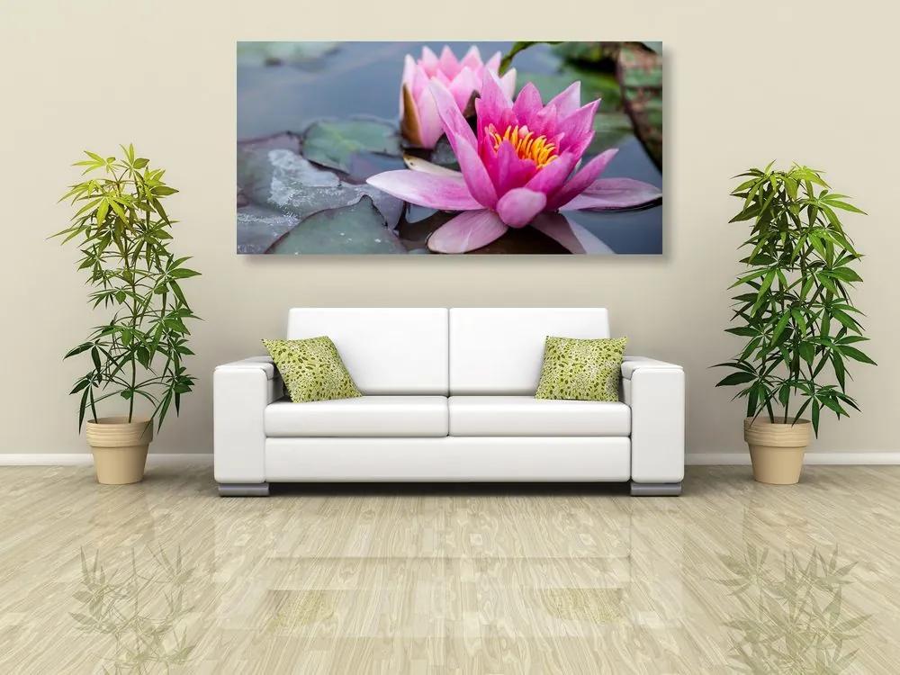 Εικόνα ροζ λουλούδι λωτού - 120x60