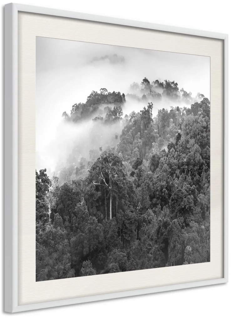 Αφίσα - Foggy Forest - 30x30 - Χρυσό - Με πασπαρτού