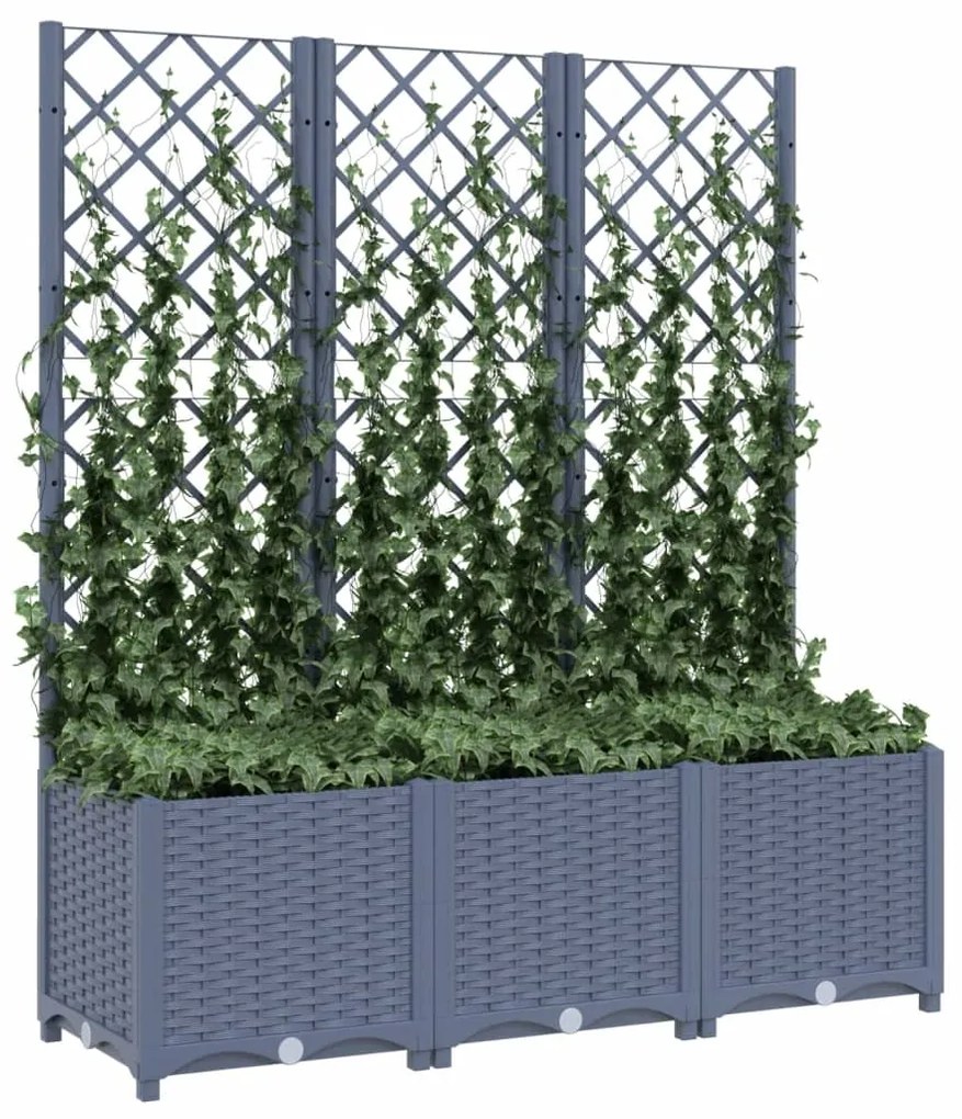 Ζαρντινιέρα Κήπου με Καφασωτό Μπλε Γκρι 120x40x136 εκ. από PP 318253