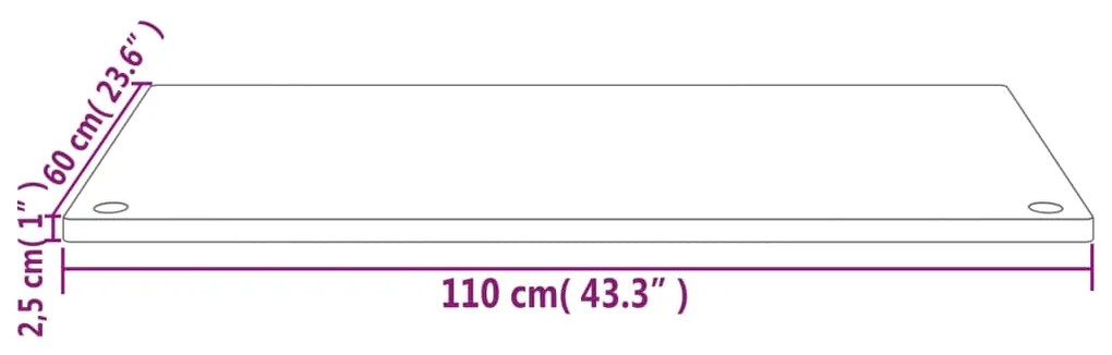 ΕΠΙΦΑΝΕΙΑ ΓΡΑΦΕΙΟΥ ΛΕΥΚΗ 110X60X2,5 ΕΚ. ΑΠΟ ΜΑΣΙΦ ΞΥΛΟ ΠΕΥΚΟΥ 824471