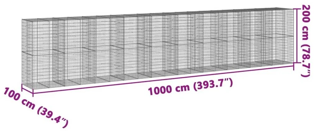 Συρματοκιβώτιο με Κάλυμμα 1000x100x200 εκ. Γαλβανισμένο Χάλυβα - Ασήμι