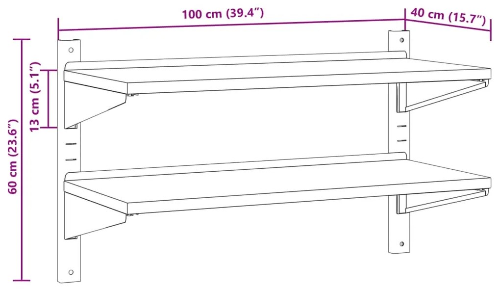 Ράφι Τοίχου 2 Επιπ. Ασημί 100x40x60 εκ. Ανοξείδωτο Ατσάλι - Ασήμι
