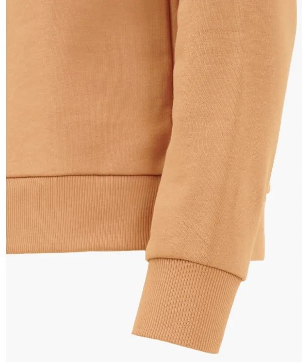 Μπλούζα γυναικεία GANT Tonal Archive Shield C-neck Caramel Beige