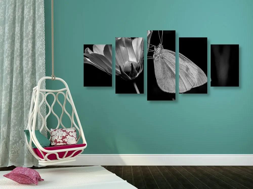 Εικόνα 5 μερών μιας πεταλούδας σε ένα λουλούδι σε ασπρόμαυρο - 200x100