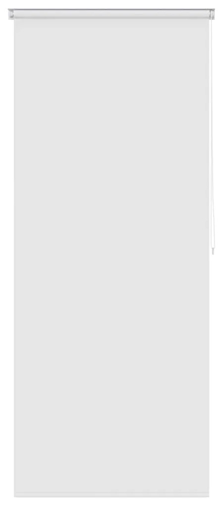 vidaXL Κουρτίνα Μπάνιου Ρολό Λευκή 120 x 240 εκ.