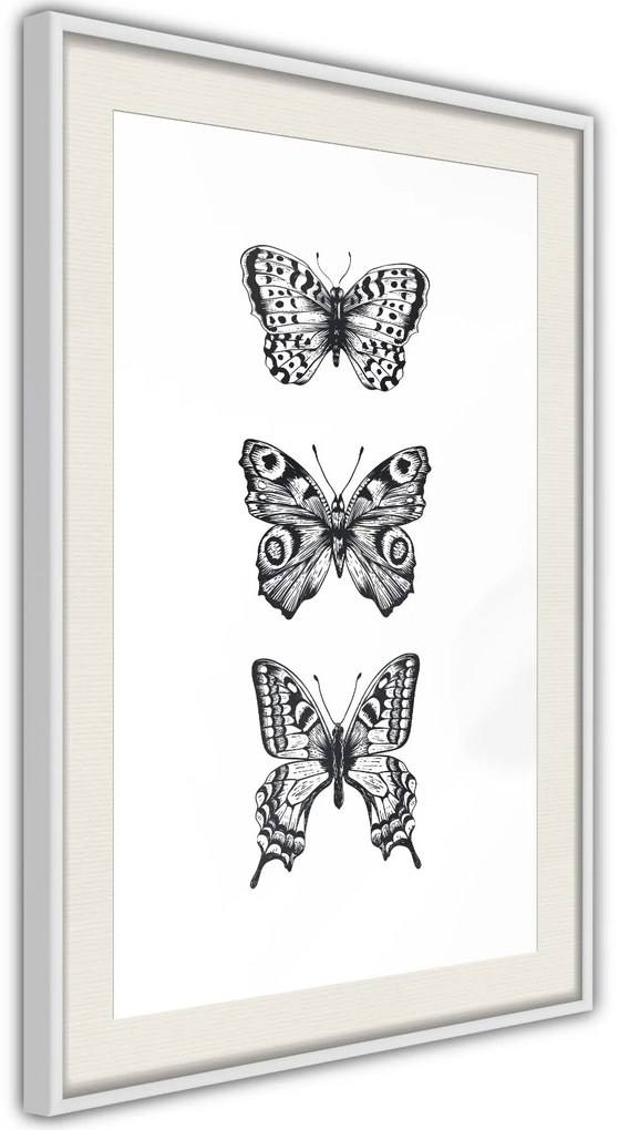 Αφίσα - Butterfly Collection III A - 20x30 - Χρυσό - Με πασπαρτού