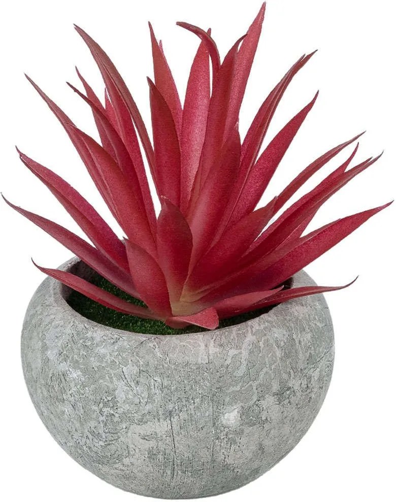 Τεχνητό Φυτό Σε Κασπώ Tillandsia 21035 Φ12x15cm Grey-Red GloboStar Πηλός,Πολυαιθυλένιο