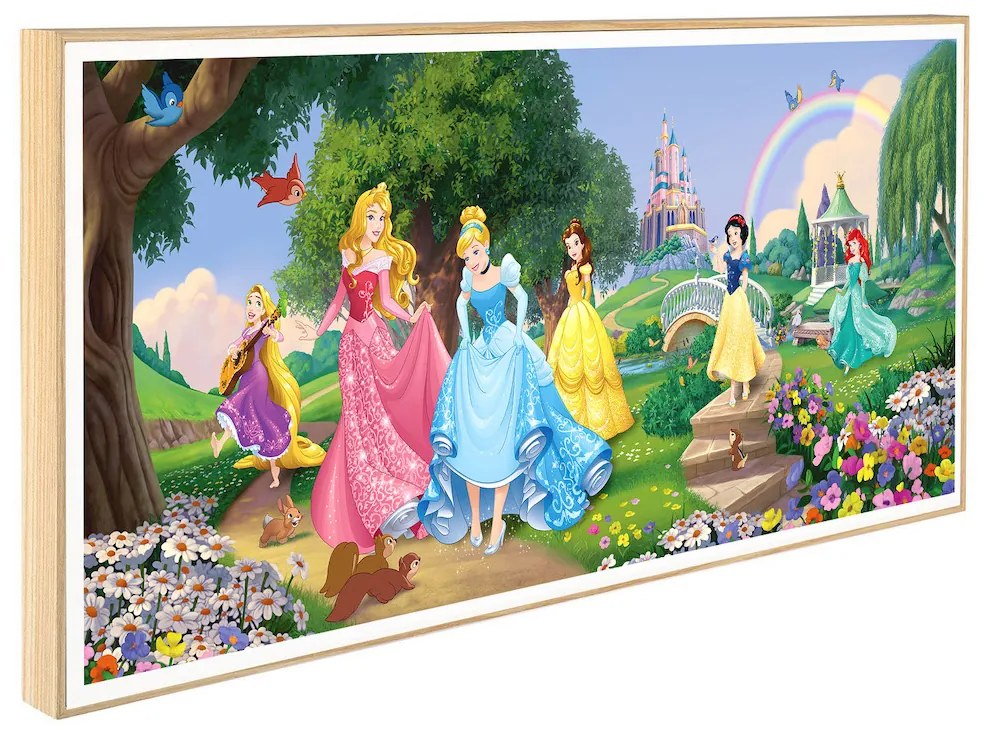 Παιδικό Κάδρο Disney Princesses KDP147 30x60cm