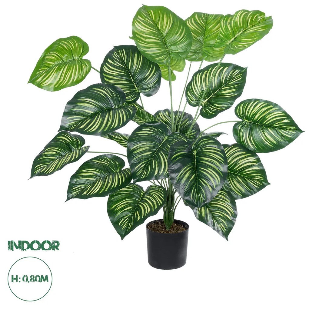 GloboStar® Artificial Garden CALATHEA 20922 Διακοσμητικό Φυτό Καλαθέα Υ80cm