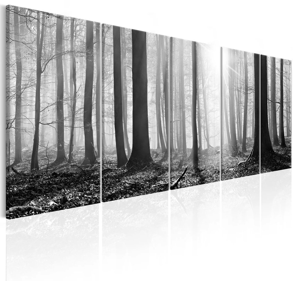 Πίνακας - Monochrome Forest 225x90