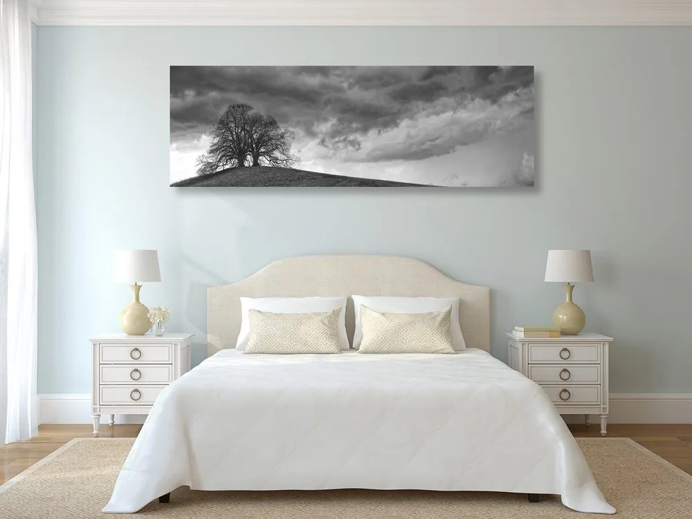 Εικόνα ασπρόμαυρα μοναχικά δέντρα - 150x50