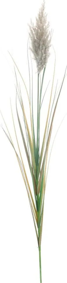 Τεχνητό Κλαδί Pampas 4012-7 140cm Natural Supergreens Πολυαιθυλένιο
