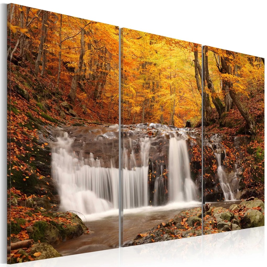 Πίνακας - A waterfall in the middle of fall trees 90x60