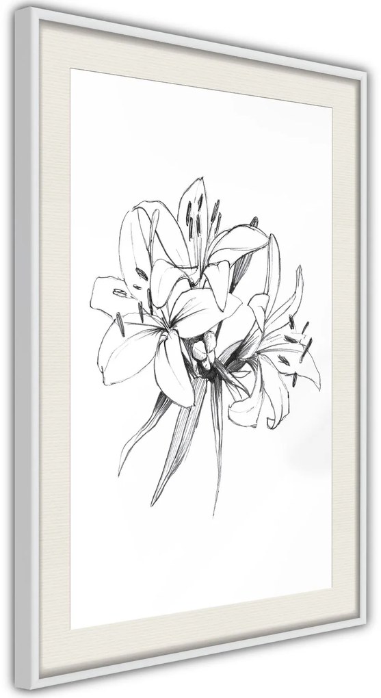 Αφίσα - Sketch of Lillies - 20x30 - Χρυσό - Χωρίς πασπαρτού