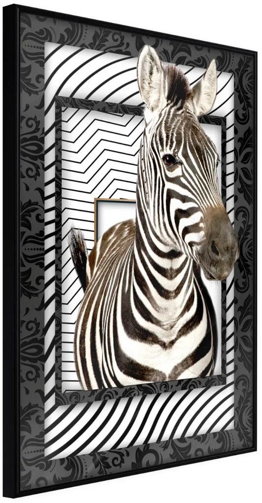 Αφίσα - Zebra in the Frame - 20x30 - Μαύρο - Χωρίς πασπαρτού