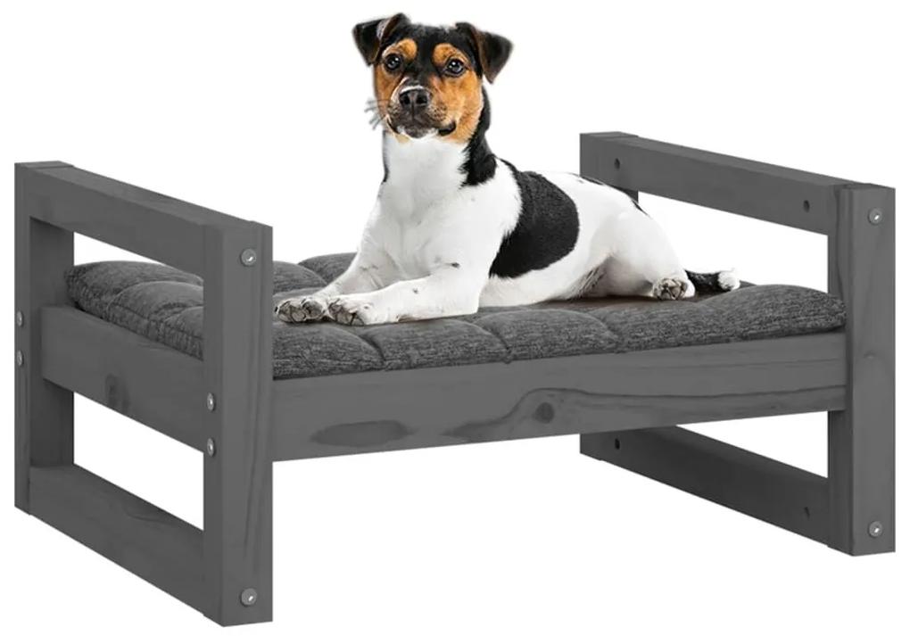 Κρεβάτι Σκύλου Γκρι 55,5x45,5x28 εκ. από Μασίφ Ξύλο Πεύκου - Γκρι