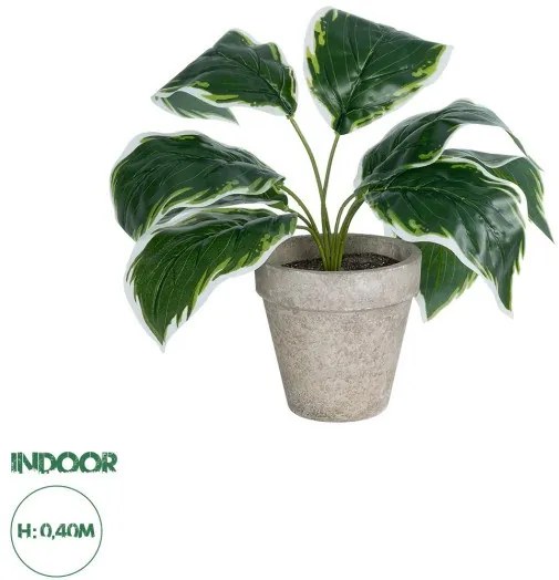 Διακοσμητικό Φυτό Λευκή Χόστα Artificial Garden 20900 Globostar-20900-Λευκό 20900