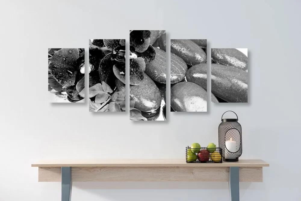 Εικόνα 5 τμημάτων ανθισμένης ορχιδέας και πέτρες ευεξίας σε μαύρο & άσπρο