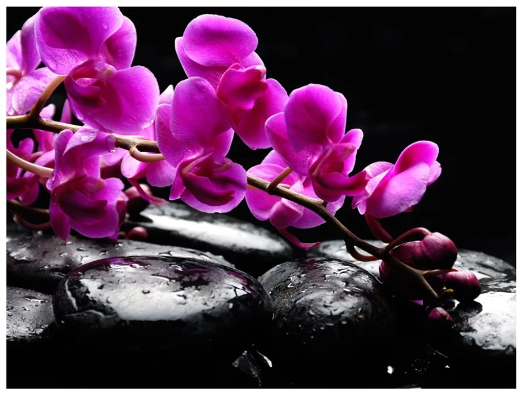 Φωτοταπετσαρία - Relaxing moment: orchid flower and stones 200x154