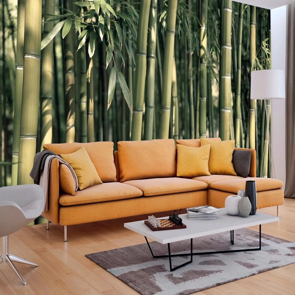 Φωτοταπετσαρία - Bamboo Exotic 100x70