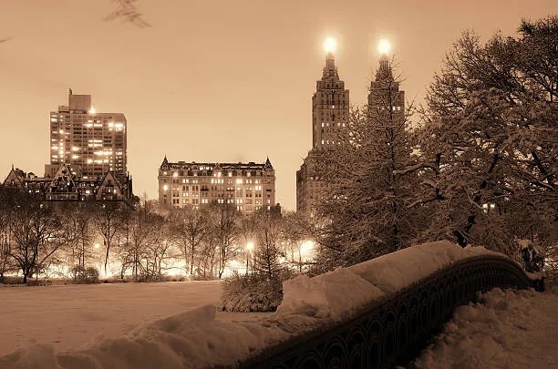 Φωτογραφία Central Park winter, rabbit75_ist