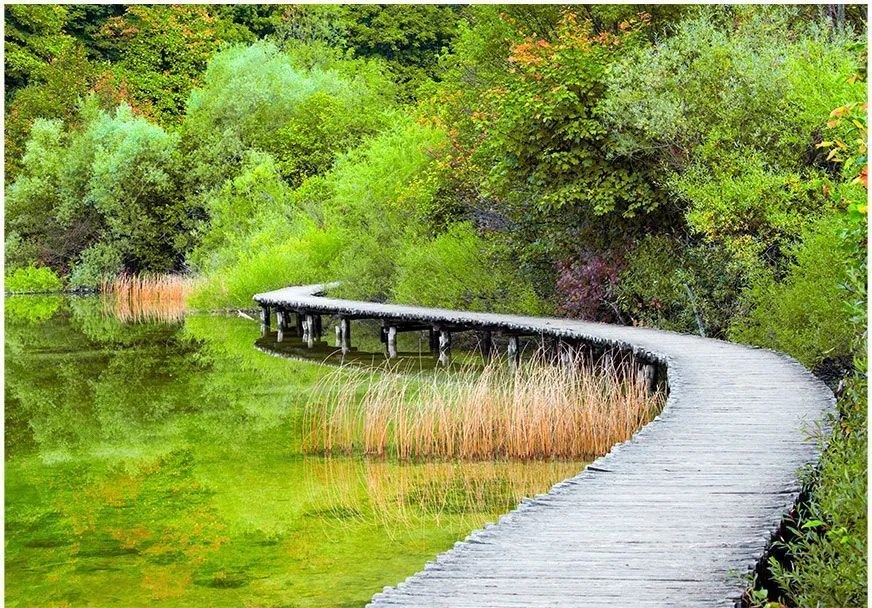 Αυτοκόλλητη φωτοταπετσαρία - Beautiful green - 98x70