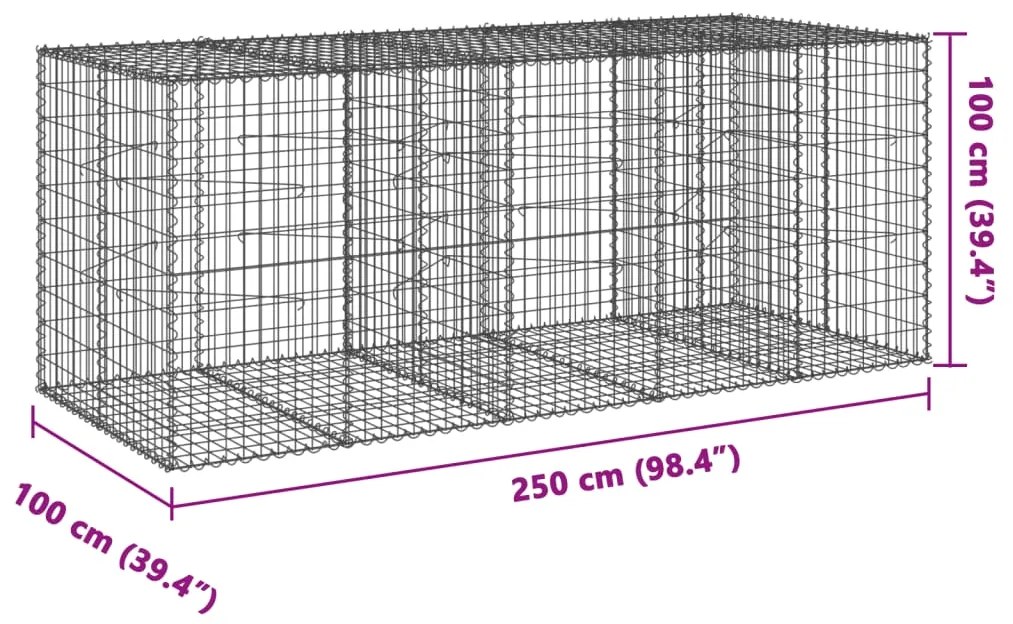 Συρματοκιβώτιο με Κάλυμμα 250x100x100εκ από Γαλβανισμένο Χάλυβα - Ασήμι