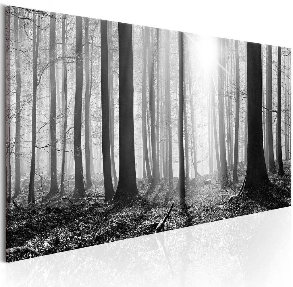 Πίνακας - Black and White Forest 135x45