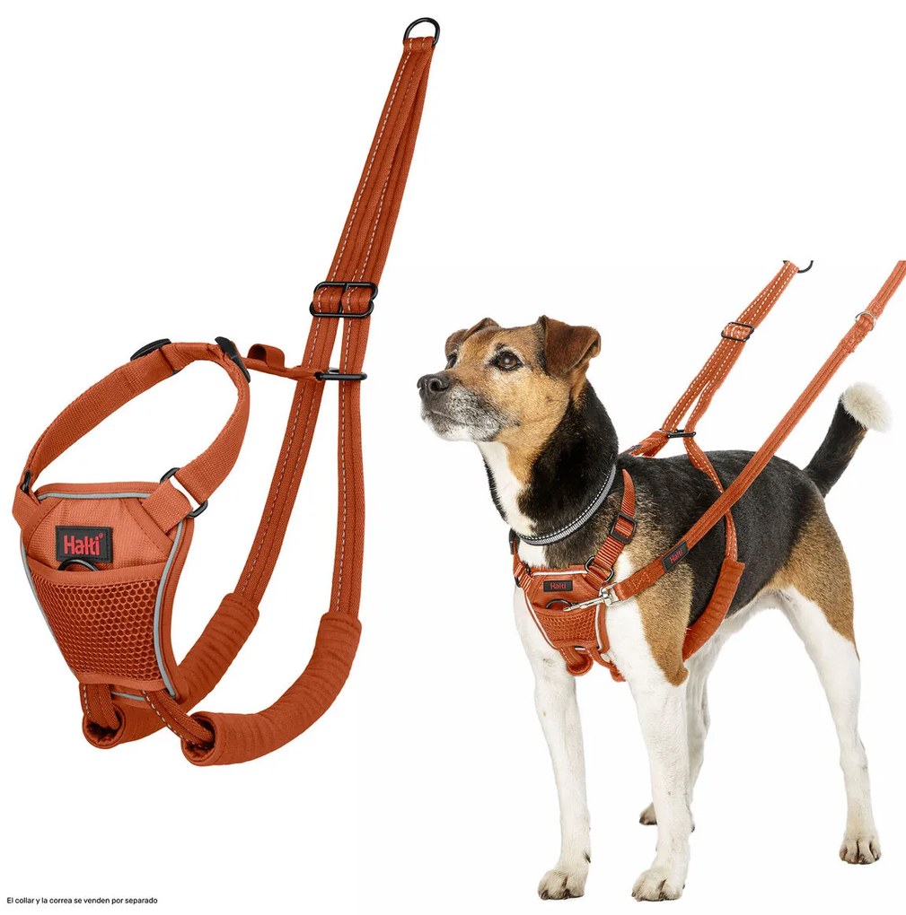 Λουρί Σκύλου Company of Animals BURNT Πορτοκαλί L