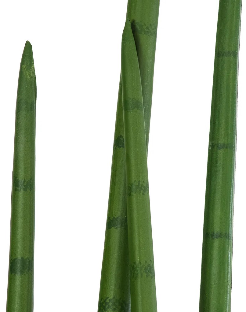 GloboStar® Artificial Garden SANSEVIERIA CYLINDRICA 20211 Τεχνητό Διακοσμητικό Φυτό Σανσεβιέρια Υ160cm