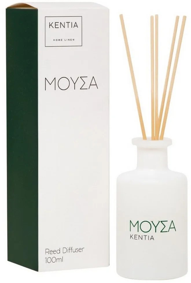 Αρωματικό Χώρου Με Sticks Mood 25 Μούσα 100ml Secret Wood Kentia Γυαλί