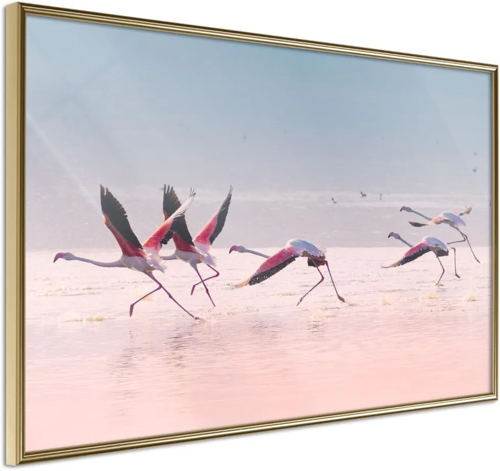 Αφίσα - Flamingos Breaking into a Flight - 30x20 - Χρυσό - Χωρίς πασπαρτού