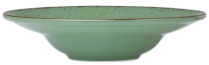 Πιάτο Ριζότου Πορσελάνινο Terra Green 24cm - Estia