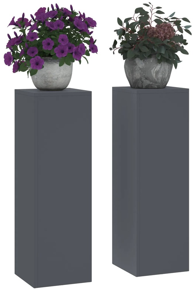 vidaXL Στήριξη φυτών 2 pcs Ανθρακί 24 x 24 x 75 εκ. Ατσάλι
