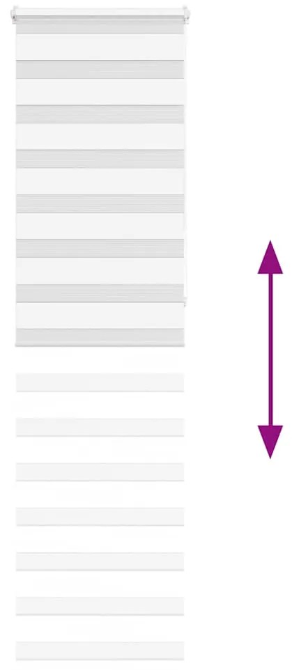 vidaXL Ζέβρα τυφλή Λευκό Πλάτος υφάσματος 60,9 εκ. Πολυεστέρας