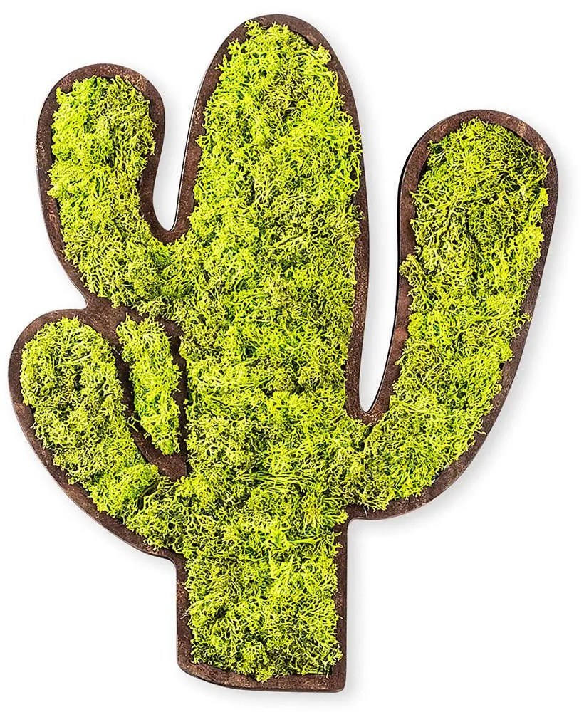 Διακοσμητικό Τοίχου Cactus Με Βρύο 931NTR1104 34x1,6x45cm Brown-Green Wallity Mdf