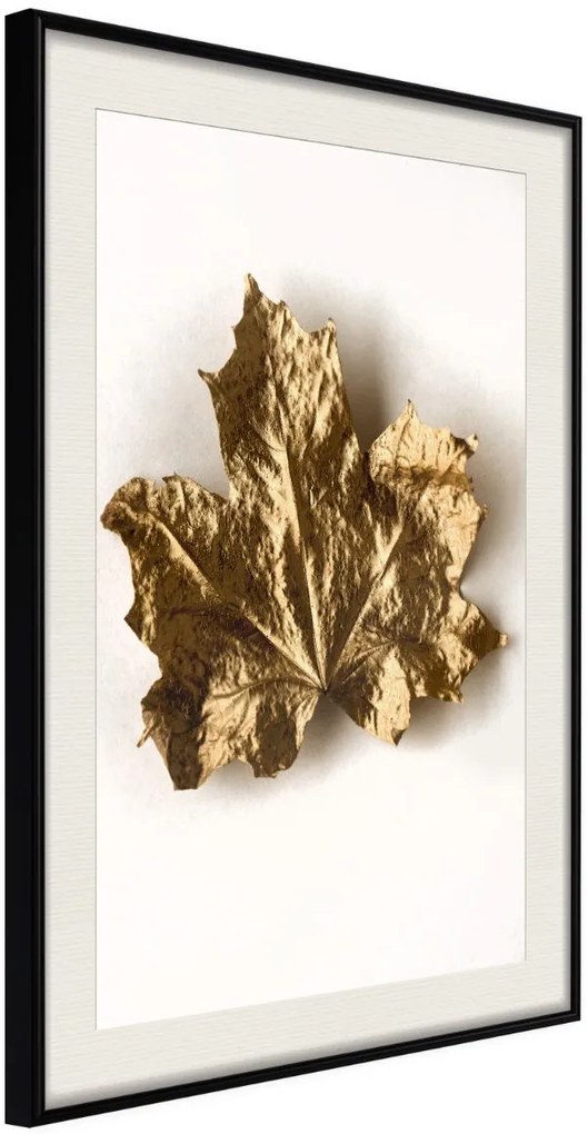 Αφίσα - Dried Maple Leaf - 20x30 - Μαύρο - Με πασπαρτού