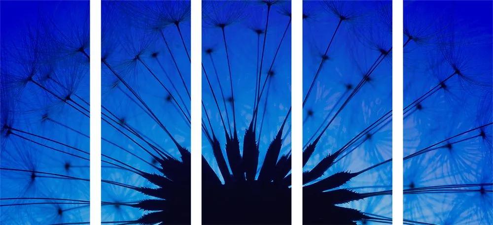 Εικόνα 5 τμημάτων μπλε πικραλίδα - 100x50