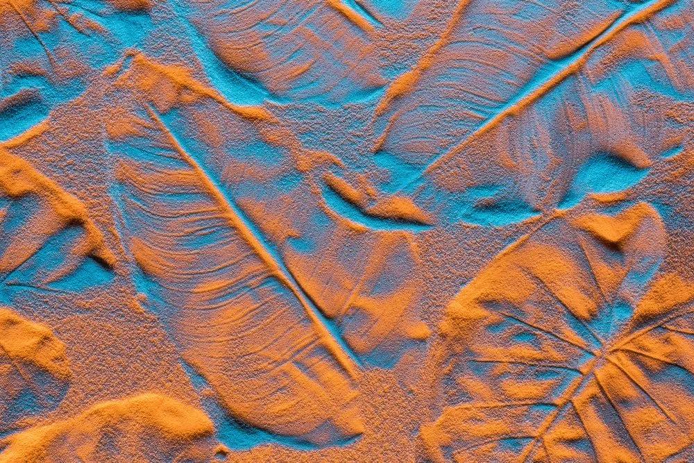 Εικόνα υφή των φύλλων σε μια αμμώδη παραλία - 60x40