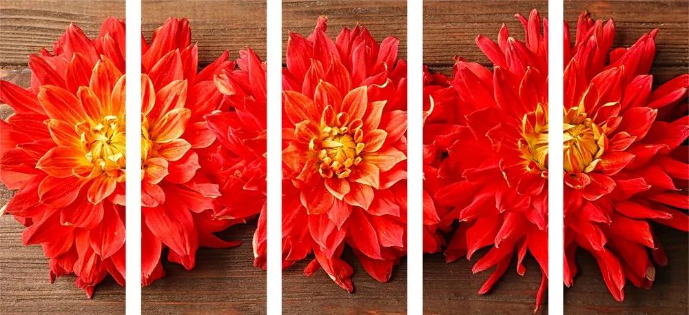 5 μέρος εικόνα λουλούδια κόκκινα ντάλια - 100x50