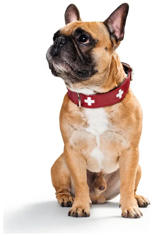 Κολλάρο Σκύλου Hunter Swiss Κόκκινο/Μαύρο (41-49 cm)
