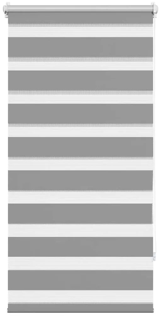 vidaXL Ρόλερ Zebra Γκρι 60 x 120cm