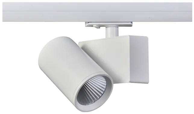 Σποτ Φωτιστικό Ράγας LED 20W Μονοφασικό IP20 4000K Lisor LISOR2040W2 ACA-LISOR2040W2-Λευκό LISOR2040W2