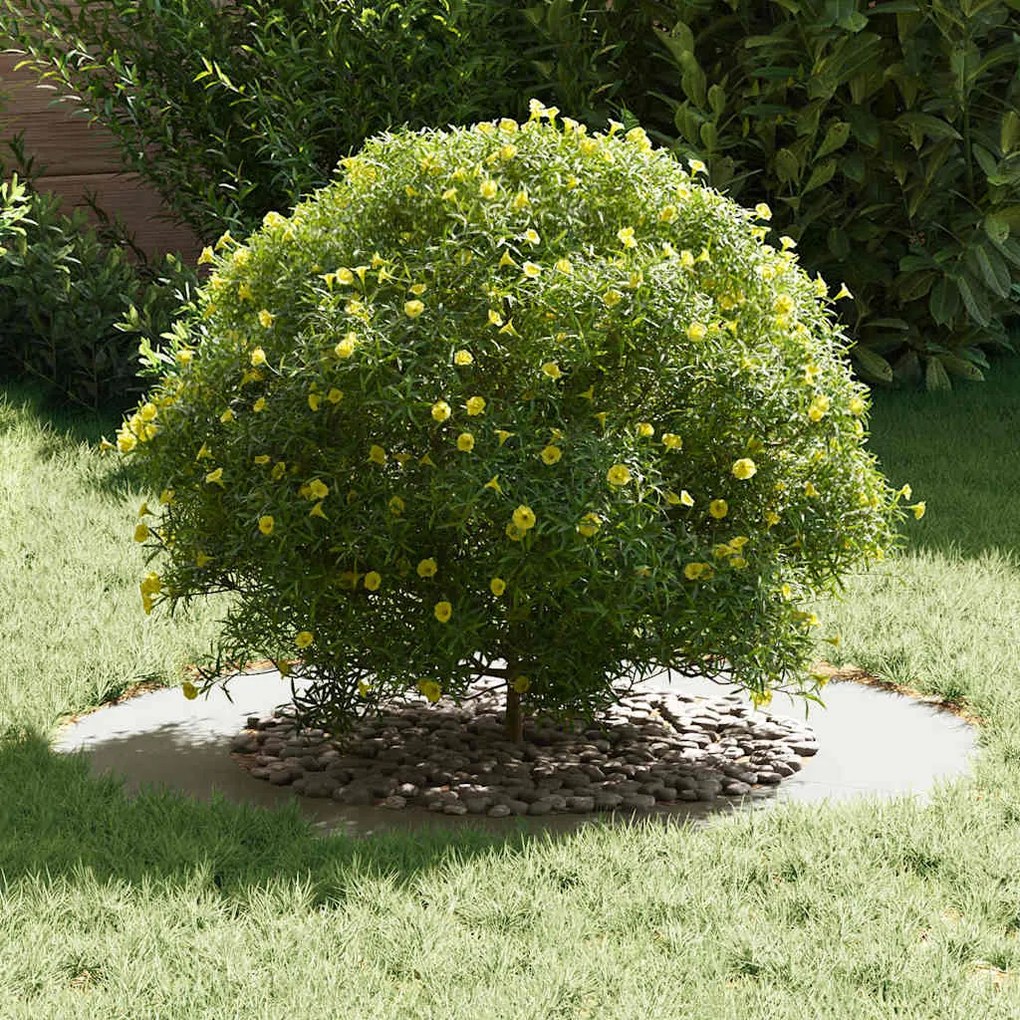 vidaXL Flat Tree Ring Λευκή Ø50/80 εκ. Χάλυβας